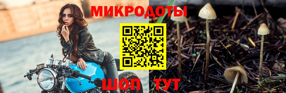 Псилоцибиновые грибы Magic Shrooms  Вход с VPN  Вышний Волочёк 